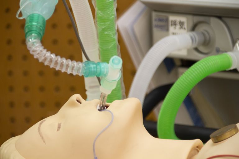 多様性と自由の交差点アメリカのワクチン政策と医療体制の現在地